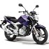 2015 Yamaha YS250 Fazer - Colors